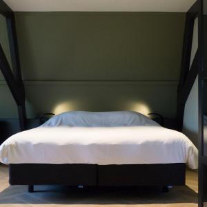 Superior King Suite