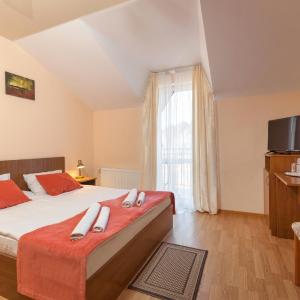 Deluxe Double or Twin Room with Mountain View