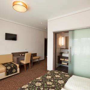 Double or Twin Room with Terrace