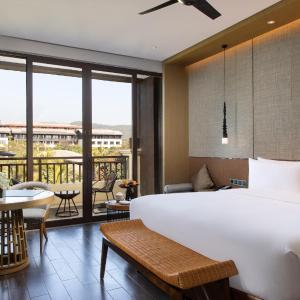 Premium Deluxe King Room with Balcony and Park View