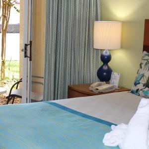 Deluxe King Suite