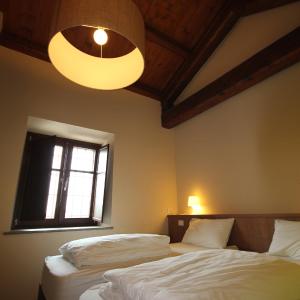 Standard Single Room with Mountain View