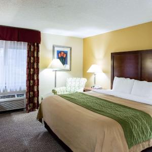 King Room - Non-Smoking