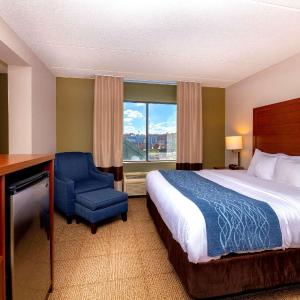 King Room with Roll-In Shower - Accessible/Non-Smoking