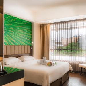 Deluxe Queen  Room Only