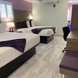 Deluxe Quadruple Room