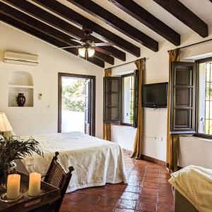 Junior Suite with Spa Bath