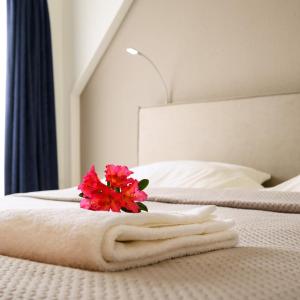 Double Room - Ground Floor