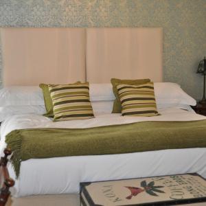 Luxury One-Bedroom Apartment