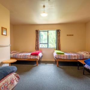Bed in 4-Bed Mixed Dormitory Room