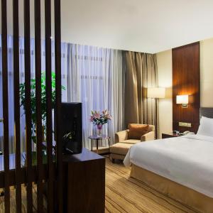 Premium King Room - Lounge Access