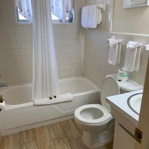 Molloy Suite - 1 Full 1 Twin Bed
