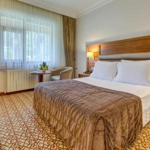Standard Double Room with Mountain Side