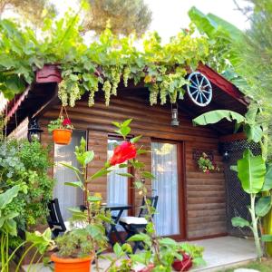Bungalow