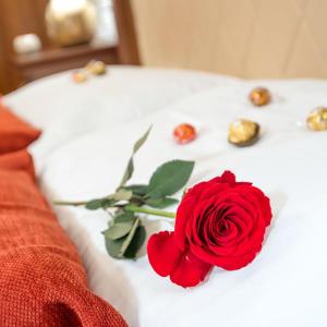 King Room with Spa Bath