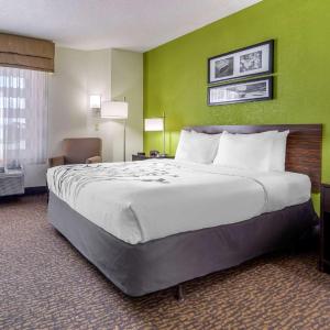 Queen Room - Accessible/Non-Smoking