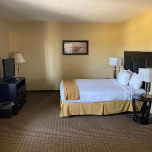 Queen Room - Disability Access