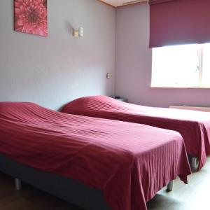 Twin Room with Shared Bathroom