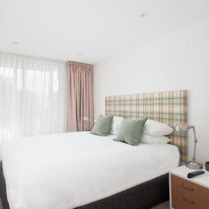 1 Bedroom King Apartment