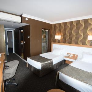 Deluxe Double or Twin Room with City View