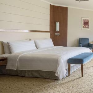 Horizon Premier Room