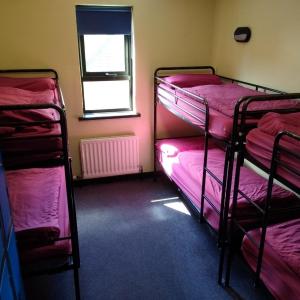 Bed in 6-Bed Dormitory Room