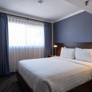 Queen Suite with Sofa Bed and Mountain View