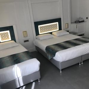 Basement Triple Room