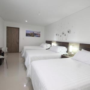 Basic Triple Room