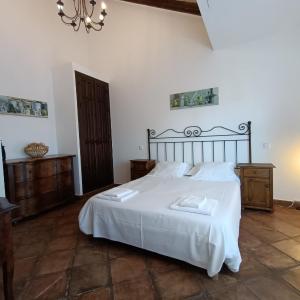 Junior Suite B