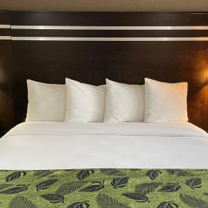 King Room - Disability Access