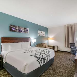 Executive King Room with Sofabed - Non Smoking
