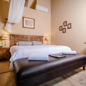 Standard Double Suite