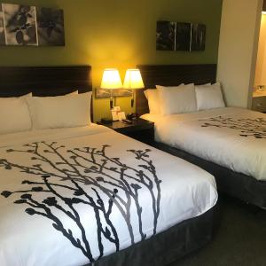 Queen Room with Two Queen Beds - Non-Smoking