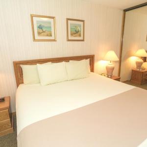 One Bedroom Apartment with Pool View -103 - No Pets