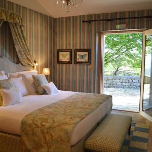 Suite with Terrace