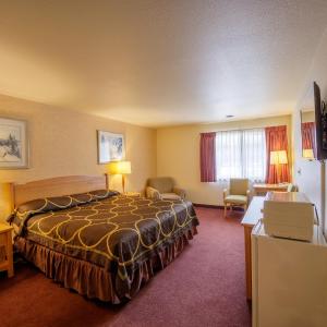 King Room Pet Free