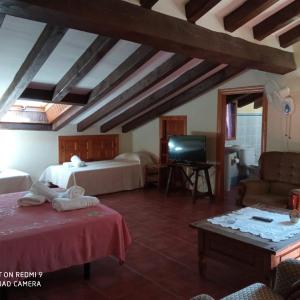 Comfort Quadruple Room