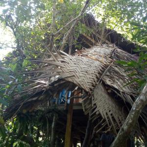 Tree House