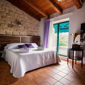 Suite with Terrace