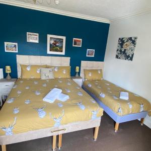 King Room / Family Room 