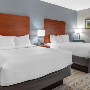 Standard Queen Room with Two Queen Beds - Non-Smoking