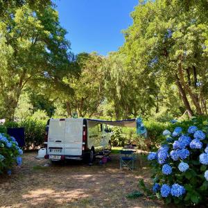 Empty Camping Spot (Tent not provided)