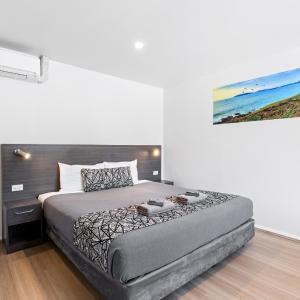 Park View King Room