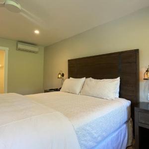 Superior King Room- 1 King Bed