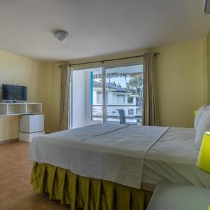 Classic Room with One Queen Bed
