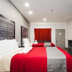 Double Room with Two Double Beds