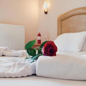 Standard Double or Twin Room with Balcony