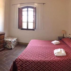 Basic Triple Room