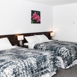Standard Queen Room - Not Pet Friendly